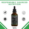 MAYN L-Theanine Liquid Drops – Natural Relaxation, Stress Relief &