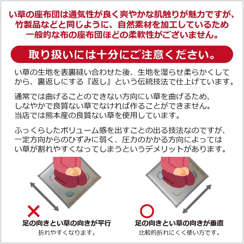 [Made in Japan] Igrass Zabuton Cushion, Earth Green, Approx. 21.7