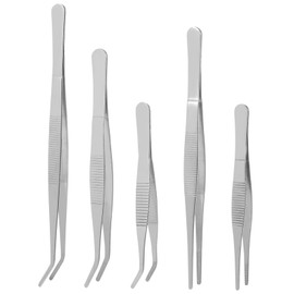 NOLITOY 5pcs Stainless Steel Tweezers for Balcony Vegetable Garden Lash Tweezers Terrarium Garden Accessories