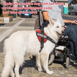 Opstin Service Dog Vest, ID Tag 50 ADA Information Cards, Service Dog Harness w Patch in Sizes X Small to XX Large, Metal Dog Tag has Ruggedized Clip, Service Animal Cards, ESA Accessory Set X-Small