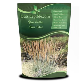 Outsidepride Indian Native Grass Seed - 10 lbs. Perennial, Low Maintenance, Drought-Tolerant Prairie Grass Seed for Wildlife Habitat, Livestock Forage, Ornamental Landscaping & Erosion Control