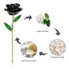 Long Stem Dipped 24k Gold Trim Red Rose In Gold