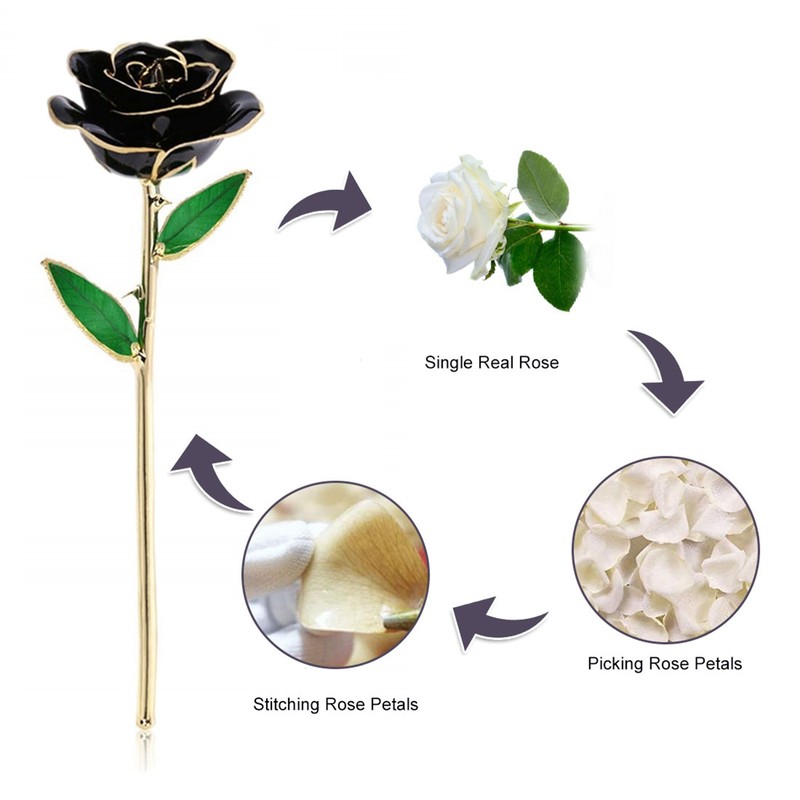 Long Stem Dipped 24k Gold Trim Red Rose In Gold