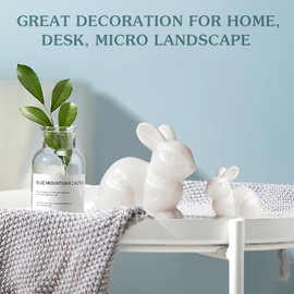 BESPORTBLE Ceramics Family Bunny Ornament: 3Pcs Miniature Bunny Figurines Mini Bunny Figurines Cute Tiny Rabbit for Easter Garden Potted Supplies Home Decoration Miniature Garden Decor