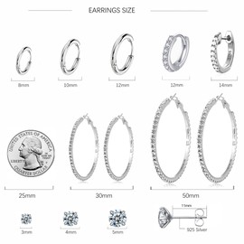 10 Pairs 14K Silver Plated Cubic Zirconia Earrings Set for Women, Hypoallergenic 925 Silver Cubic Zirconia Stud Earrings Pack For Girls Daily Life (Silver)