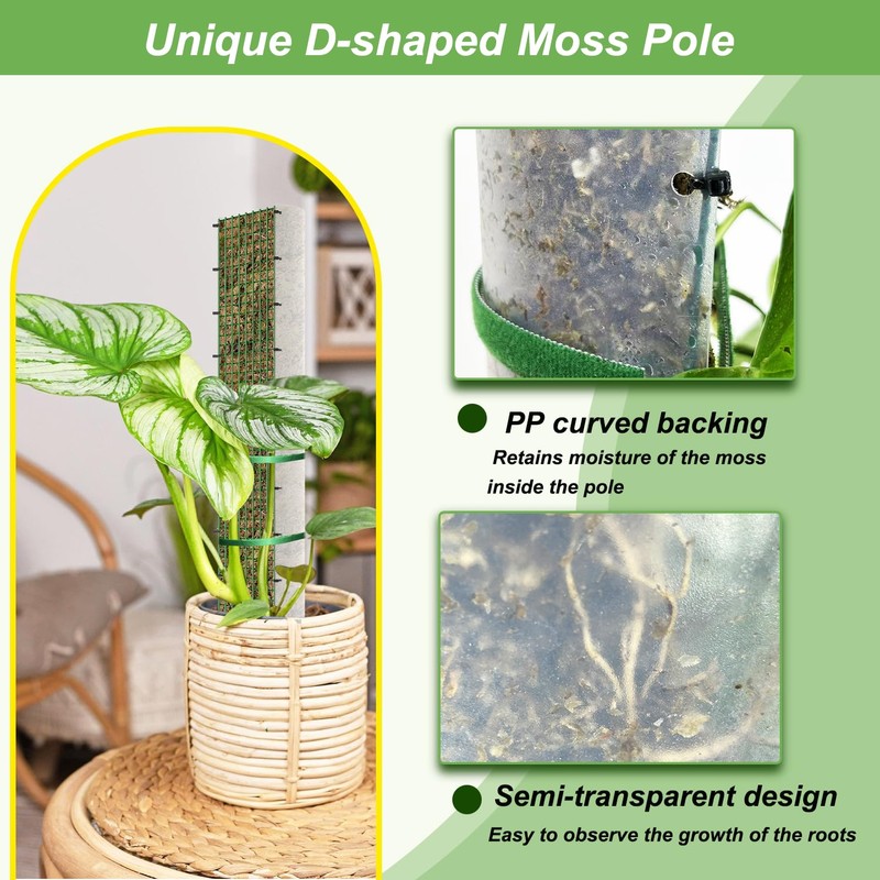 HOLANHING 60"/40"/24" Metal Moss Pole, D Shape Sphagnum Moss Pole,