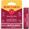 Burt's Bees 100% Natural Origin Moisturizing Tinted Lip Balm, Daisy