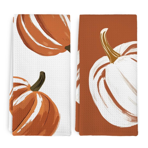 dvhdajed Fall Pumpkin Kitchen Towel and Dish Towel Set of
