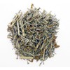 Wormwood (Artemisia Absinthium), 1.5 oz (43 grams), Wild-Harvested from Armenia.