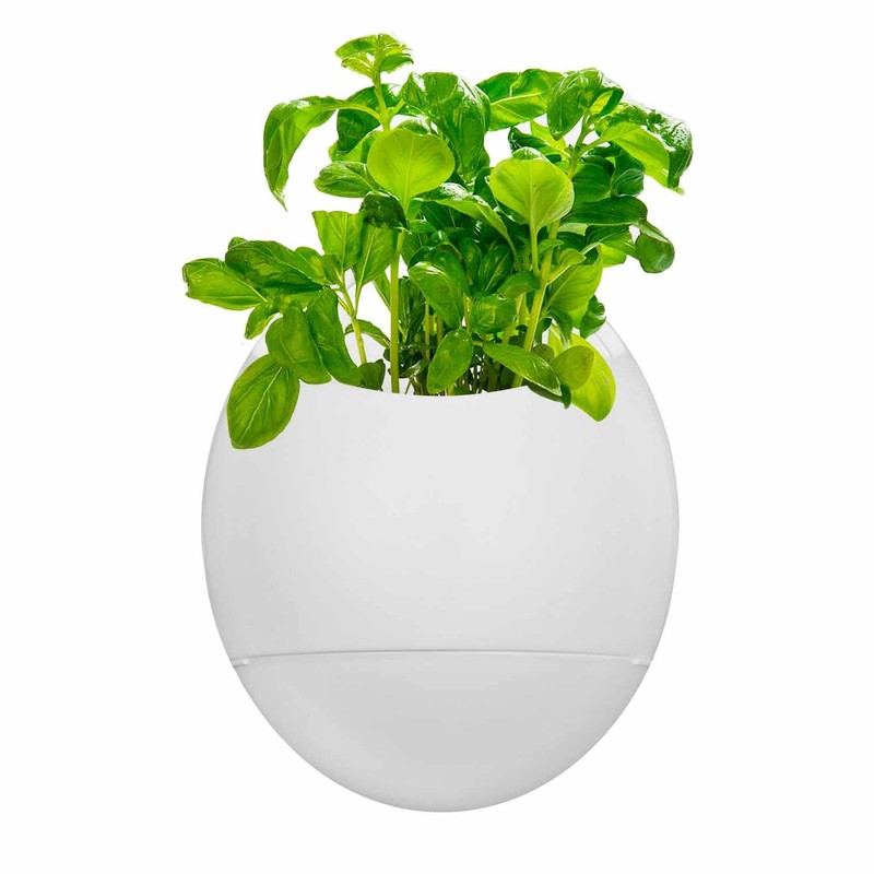 Thumbs Up Eco Pod Self-Watering Herb Pot, White