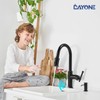 Touchless Oil Rubbed Bronze Kitchen Faucet with Soap Dispenser, DAYONE