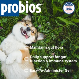 Probios Probiocin Oral Pet Gel for Dogs and Cats, Probiotic Supplement for Digestive & Immune Support, 15 g Tube (Pack of 2)