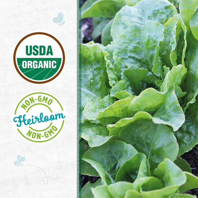 Back to The Roots 100% Organic Seed Packet - Lettuce