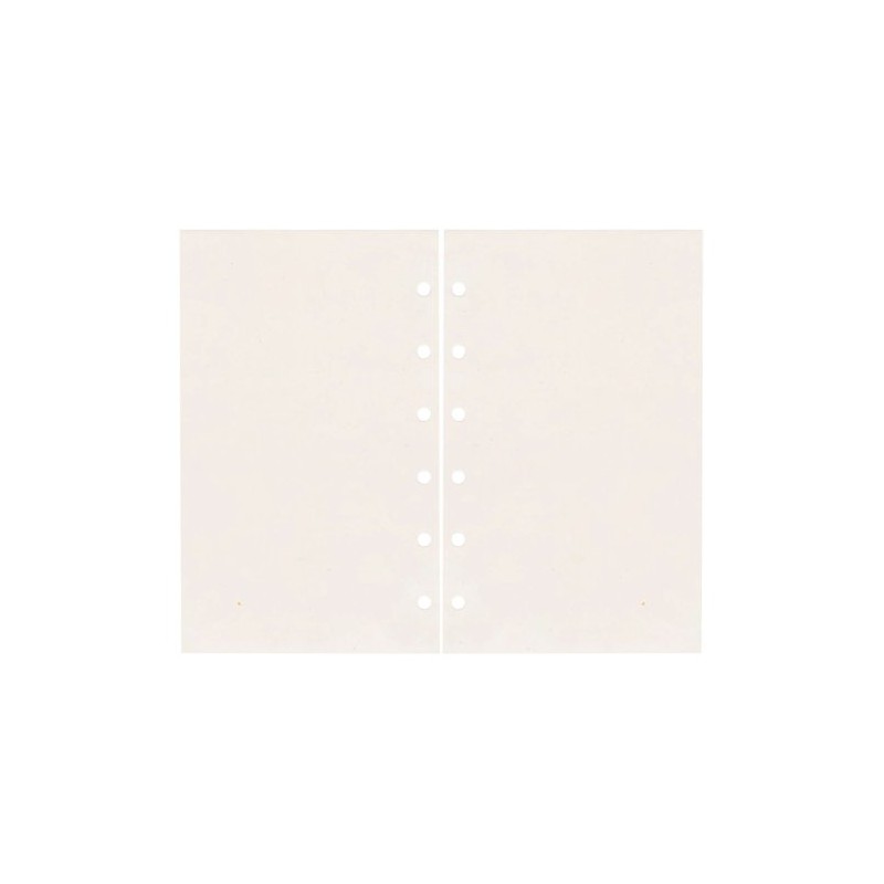 レイメイ藤井 ダヴィンチ リフィル P.Pポケット ポケットサイズ DPR214