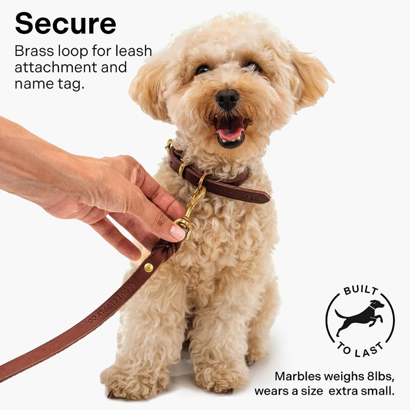 Scout Supply Classic Leather Dog Collar | Heavy Duty Thick