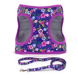 Moonpet Step in Dog Harness Leash Set- All Weather Reflective No-Pull Floral Pattern Padded Mesh Vest Harness for Cats Puppy Extra-Small Small Medium Large Dogs - Dark Flower - M