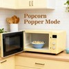 10 Inch Collapsible Silicone Microwave Splatter Cover with Water Steamer,