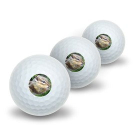 GRAPHICS & MORE Chipmunk Eating Novelty Golf Balls 3 Pack