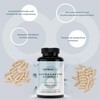 Bamboo Labs - Ashwagandha Capsules with Withania Somnifera Dry Extract,