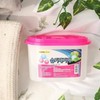 Humidity dehumidifying remover Dehumidifying supplies Deodorizing agent Dehumidifying remover 1 Wardrobe summer 5ea