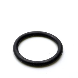 Parts and Parts Replacement Part Compatible with Segway SW-F01G00007001 O-Ring 19 x 2.5 mm