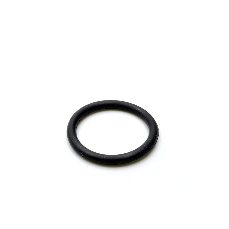 Parts and Parts Replacement Part Compatible with Segway SW-F01G00007001 O-Ring