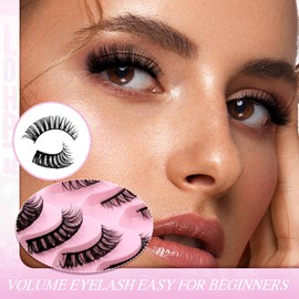 FADLASH False Eyelashes 10 Pairs Faux Mink Lashes Wispy Fake Eyelashes Natural Look Handmade Eyelashes Cat Eye Lashes Fake Lashes Strips (DH06-04)