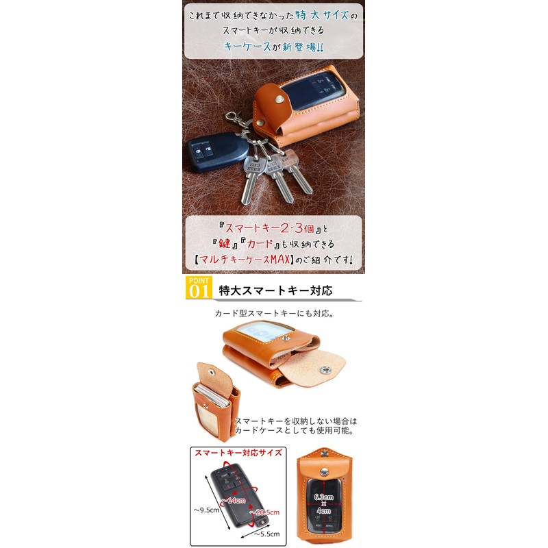 Ricky's Multi-Key Case, Max, Smart Key, Storage Pocket, Remote Control,