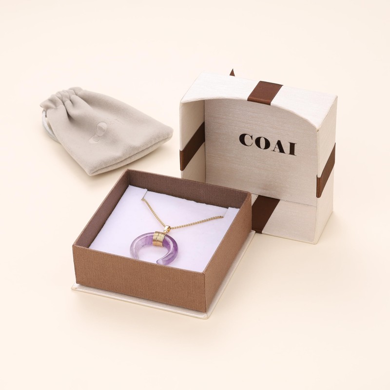 COAI Crescent Moon Crystal Amethyst Necklace for Women