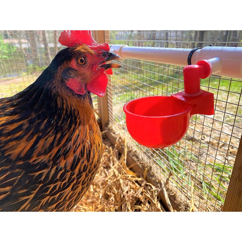 Chicken Waterer PVC Tee Fittings 3/4 Inch (12-Pack) for Threaded