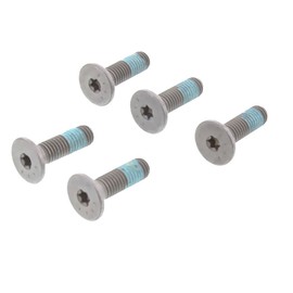 TRW Brake Disc Screw Set MSS116-5 3322938329006