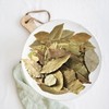 신선약초 월계수잎 230g Fresh Herbal Bay Leaves 230g