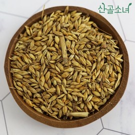 산골소녀 국내산 건조 말린 맥아 보리 100g Sanggol Girl Domestic Dried Malt Barley 100g