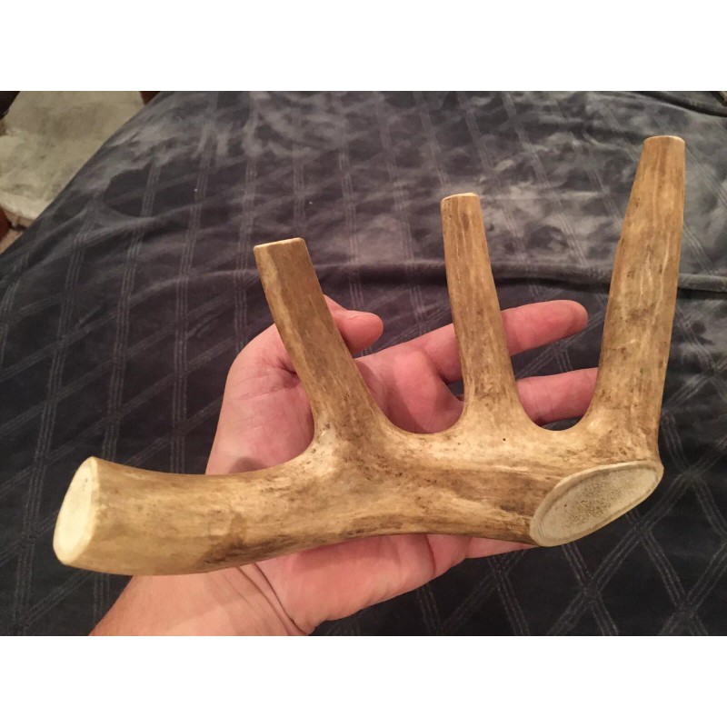 Unbranded Huge COLOSSAL JUMBO CHEWS Whole Deer Antler Dog Chew