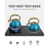 Poliviar Modern Kettle Induction Whistling Kettle Stainless Steel Tea Kettle