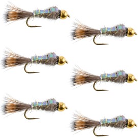The Fly Fishing Place Tungsten Bead Head Nymph Fly Fishing Flies - Flashback Gold Ribbed Hare's Ear Trout Fly - Nymph Wet Fly - 6 Flies Hook Size 12