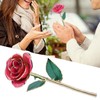 24K GoldPlated Rose Flower Pink Green Leaf for Valentine's Day