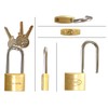WAKI TWE Vine Length Cylinder Lock, 1.6 x 1.9 inches