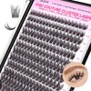 CALAILIS Individual Eyelashes, 204 Pieces, DIY Cluster Eyelashes, D Curl,