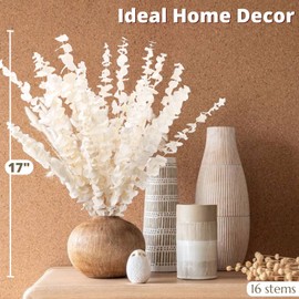 16Pcs Bleached Dried Eucalyptus Stem Bundle - 100% Natural Cream White Real Preserved Eucalyptus Branches, Eucalyptus Leaves for Vase Filler, Wedding, Home, Floral Arrangement