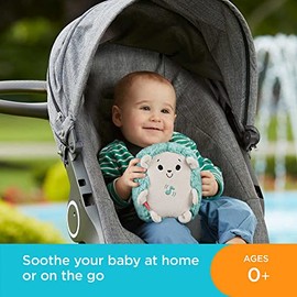 Juguetes Para Bebé Fisher-Price Erizo Vibraciones Relajantes