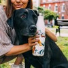 Chilly’s Bottles, Waterproof, Leak-proof, Stainless Steel, BPA-free, Reusable Water Bottle,