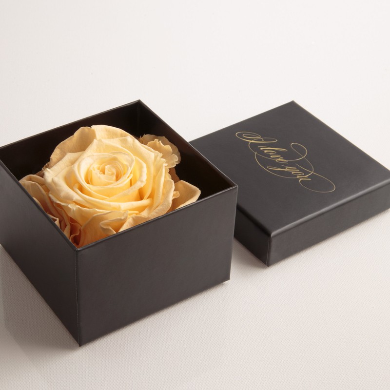 Infinity Rose Preserved Rose Box I Love You Gift for