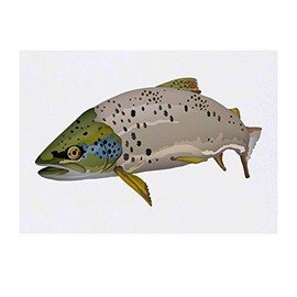 'Brown Trout' Temporary Tattoo - Water Resistant, Skin-Safe, Non-Toxic Transfer (TO00041474)