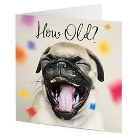 TigerMill Publishing 'How Old?' Funny Pug Dog Birthday card