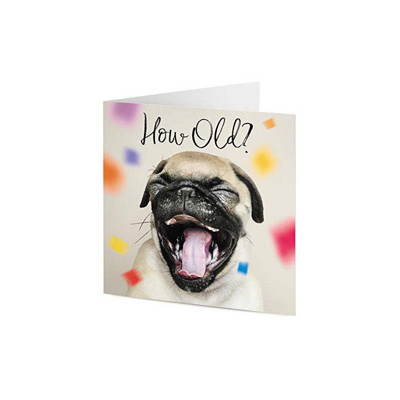 TigerMill Publishing 'How Old?' Funny Pug Dog Birthday card