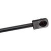 TRQ Driver & Passenger Side Trunk Lid Lift Support Shock