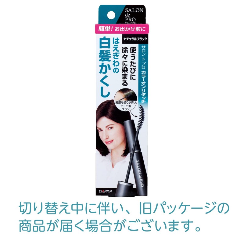 Salon de Pro Color Touch-up For Gray Hair, EX 0.6