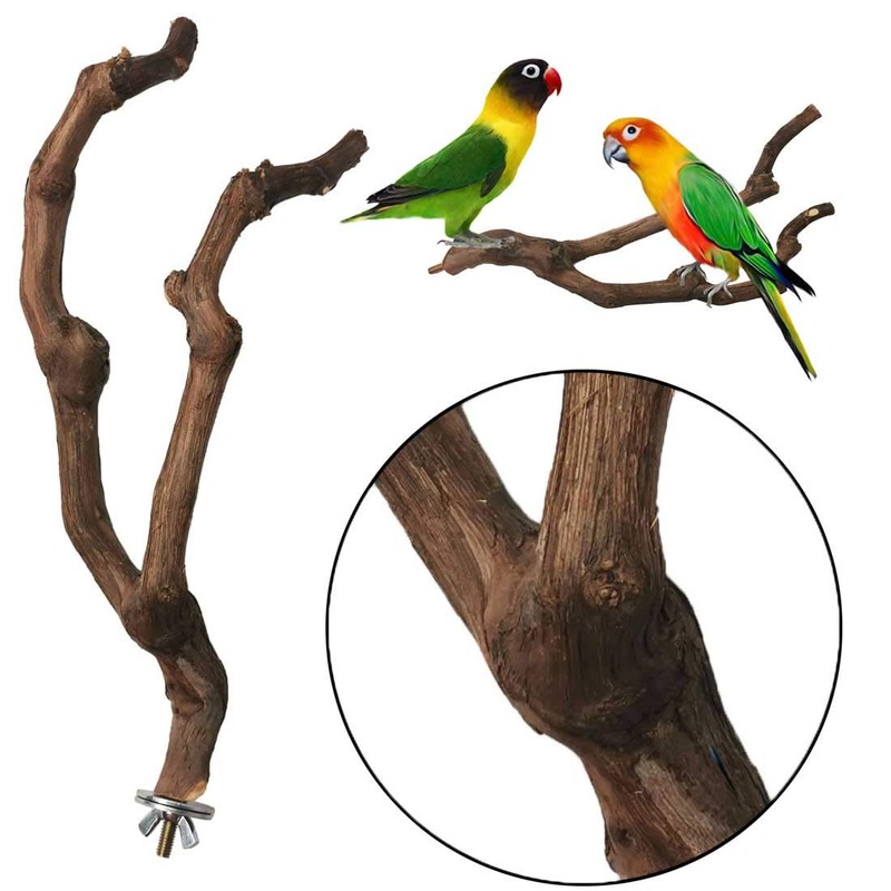 kathson Natural Parrot Perch Bird Stand Pole Wild Grape Stick
