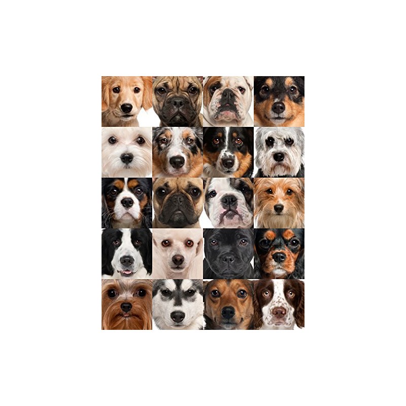 Dog Heads Collage 504 Piece Jigsaw Puzzle 16" X 20"